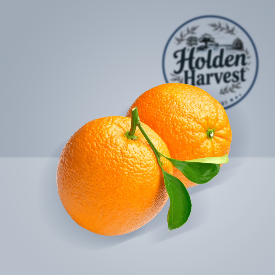 oranges2